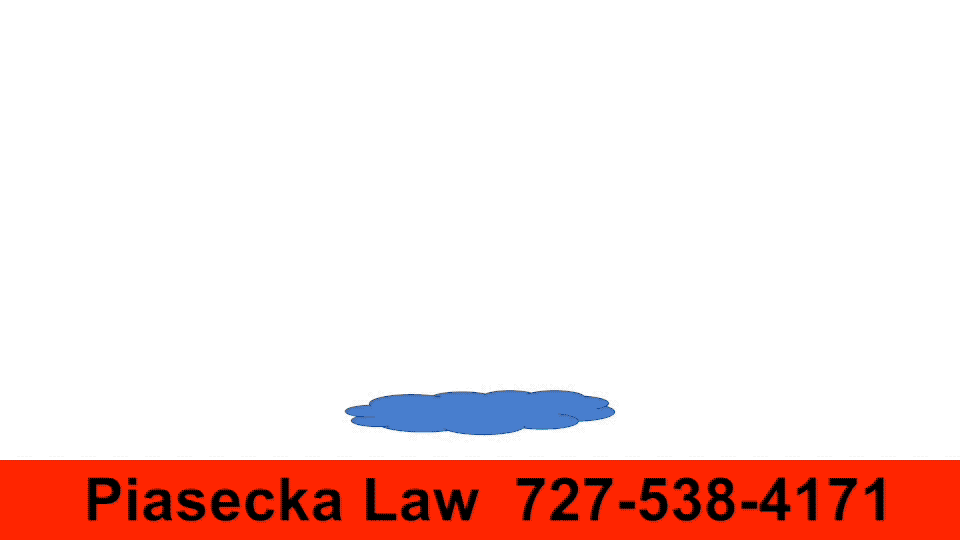 Polish, Lawyer, Attorney, Florida, USA